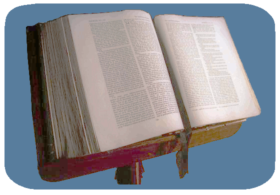Daily Bible Reading